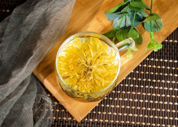 喝菊花茶注意事項