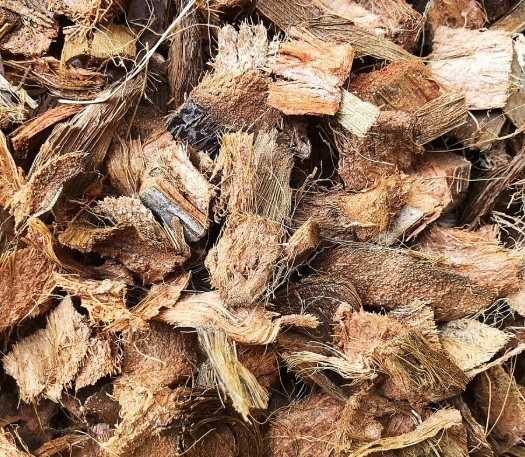 椰塊養蘭花方法 椰塊養蘭花方法