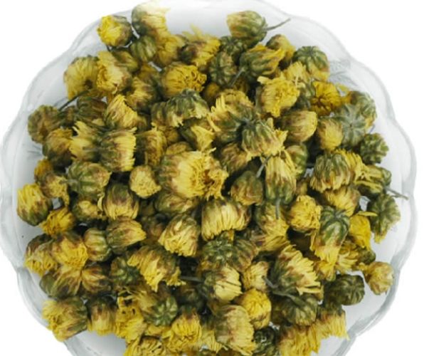 胎菊禁忌人群 胎菊禁忌人群