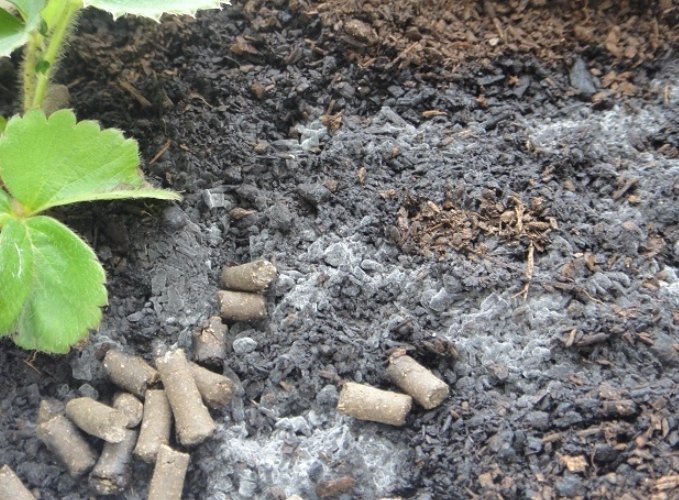 土壤發霉處理 土壤發霉處理