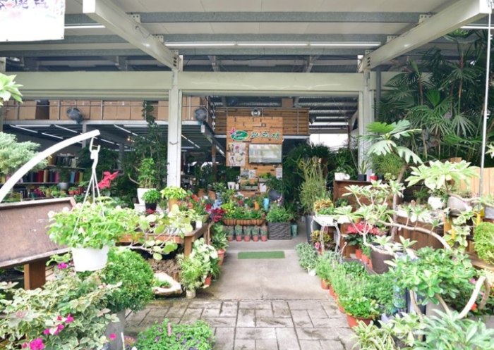 常見花材介紹 常見花材介紹