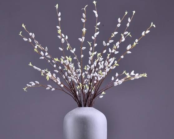 銀柳剝皮技巧 銀柳剝皮技巧