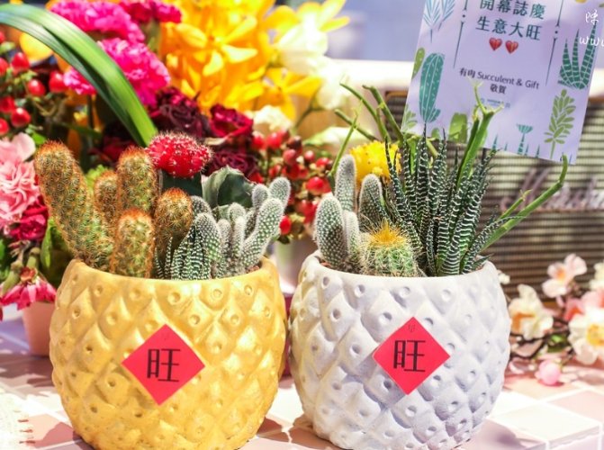 開業送禮推薦 開業送禮推薦