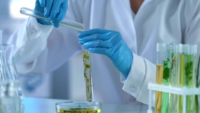 瑪麗安妮姬評價 瑪麗安妮姬評價