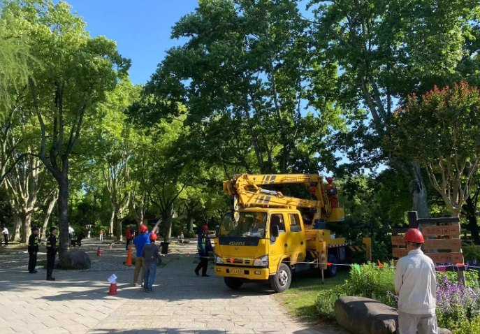 木質化修剪步驟