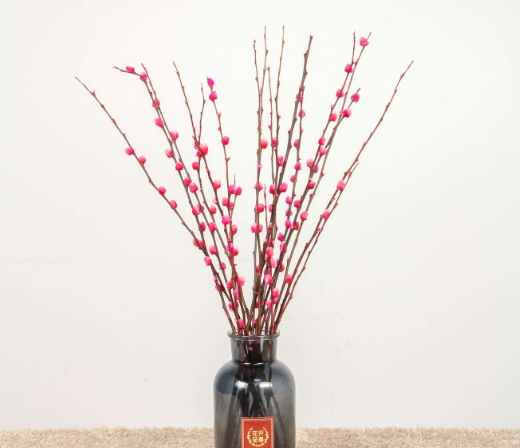 銀柳水培技巧 銀柳水培技巧