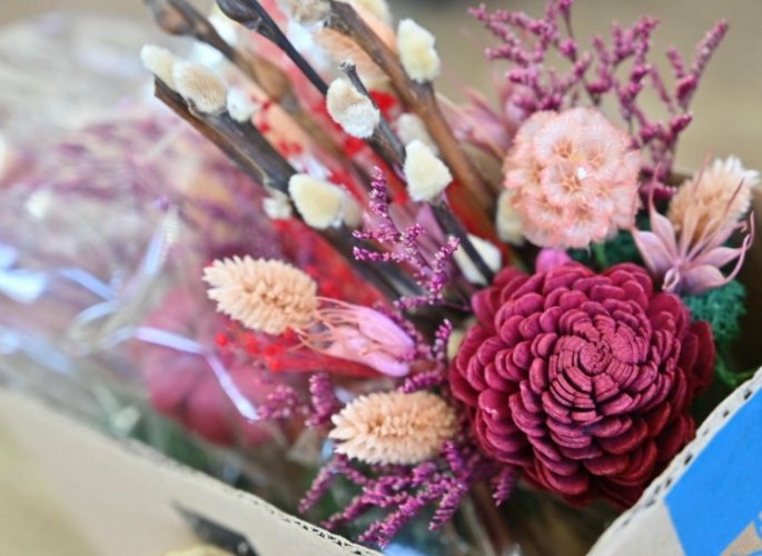 銀柳剝皮技巧 銀柳剝皮技巧