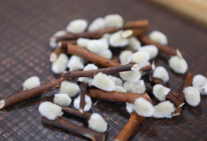 銀柳處理方法 銀柳處理方法