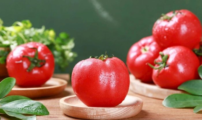 家庭蕃茄栽培 家庭蕃茄栽培