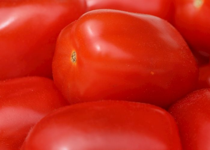 番茄樹種植技巧