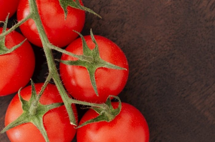 蕃茄施肥技巧 蕃茄施肥技巧