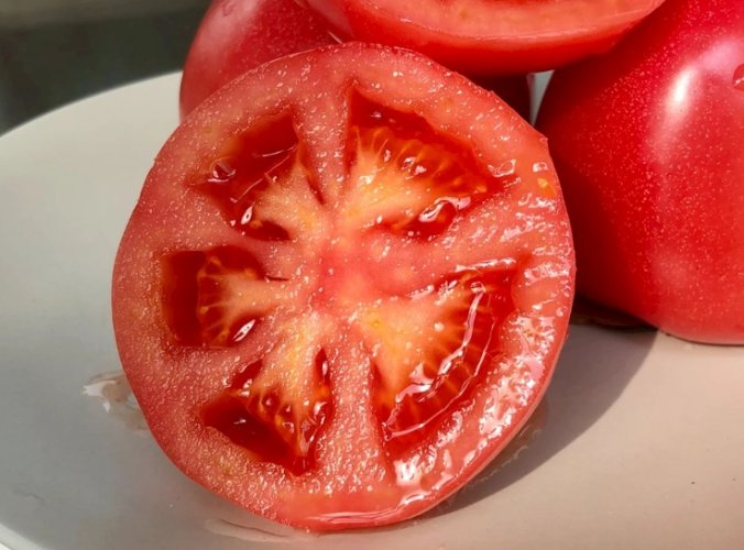 番茄籽副作用 番茄籽副作用