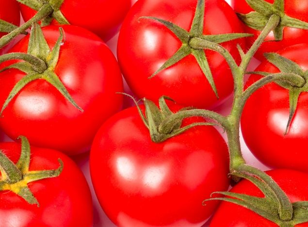 番茄籽副作用 番茄籽副作用