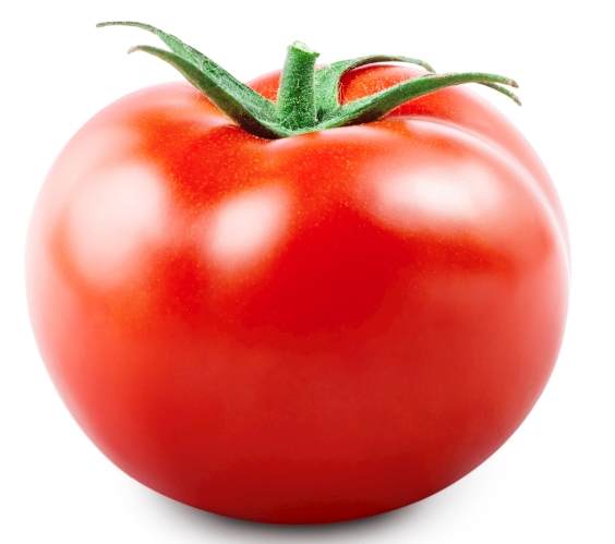 番茄種植方法 番茄種植方法