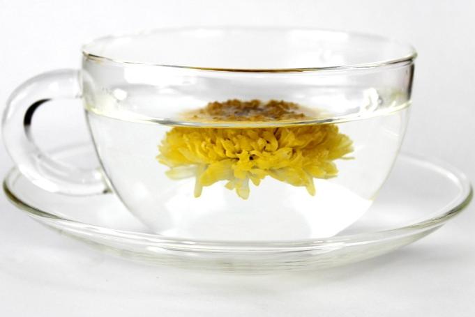 菊花茶功效膽固醇