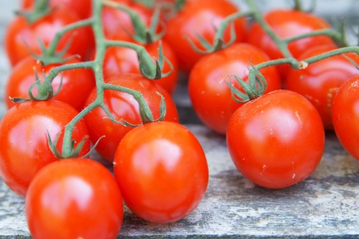 家庭蕃茄栽培 家庭蕃茄栽培