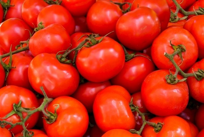 番茄籽副作用 番茄籽副作用