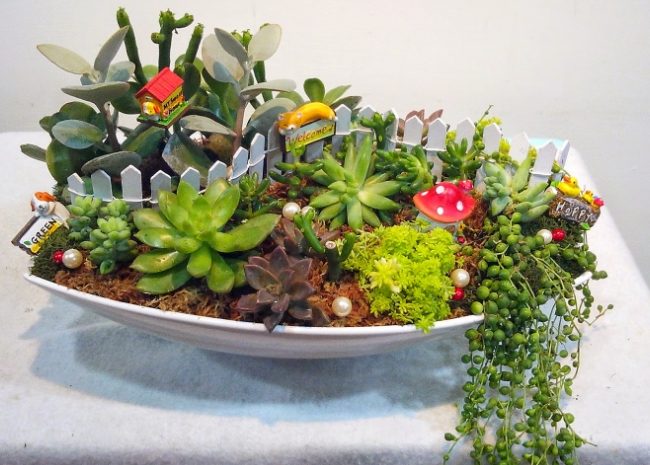 多肉植物搭配 多肉植物搭配