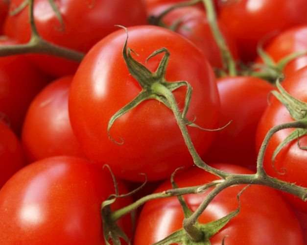 延長番茄壽命