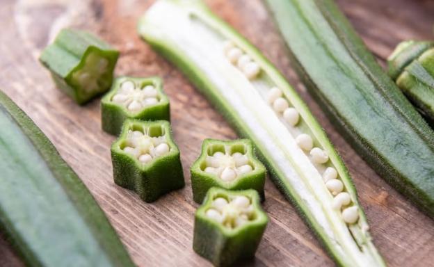 秋葵支架推薦 秋葵支架推薦