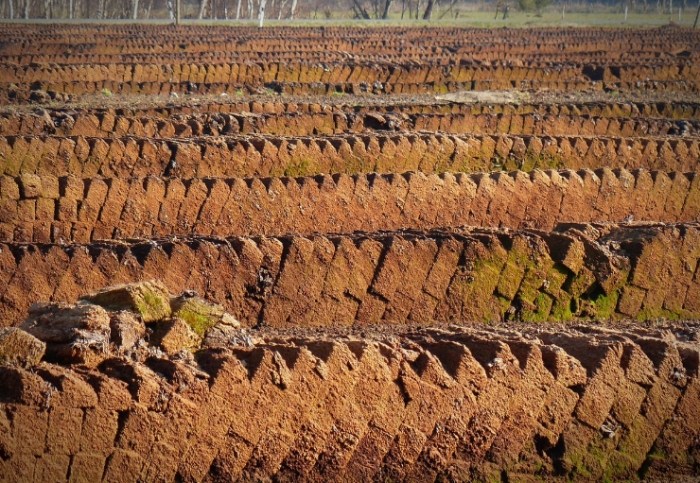 泥炭土種菜優缺點 泥炭土種菜優缺點
