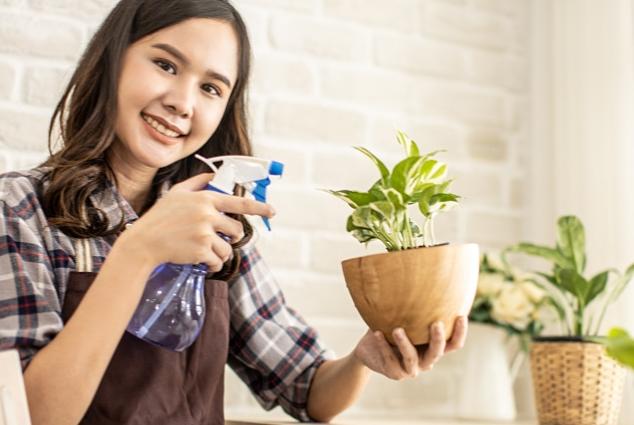 盆栽清潔方法 盆栽清潔方法