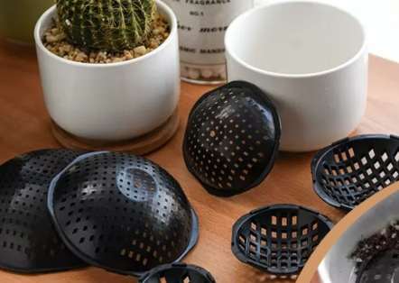 盆底健康替代方案 盆底健康替代方案