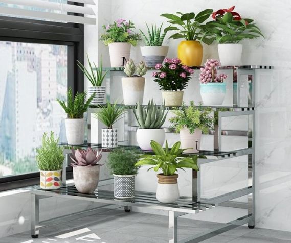 植物養護技巧 植物養護技巧