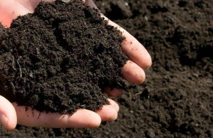 泥炭土混合土 泥炭土混合土