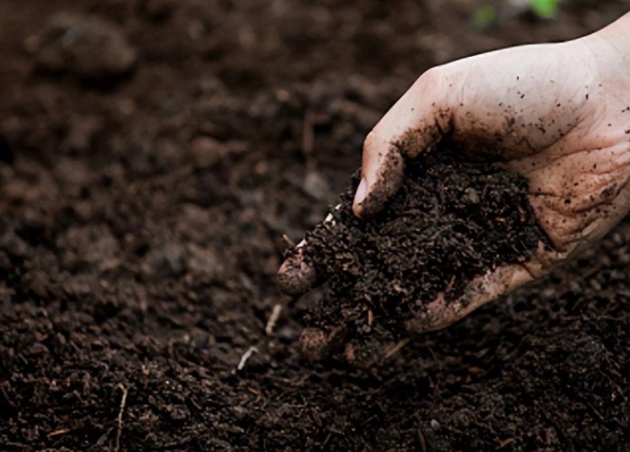 泥炭土混合土 泥炭土混合土