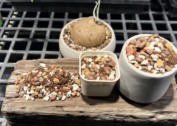 多肉介質調配 多肉介質調配