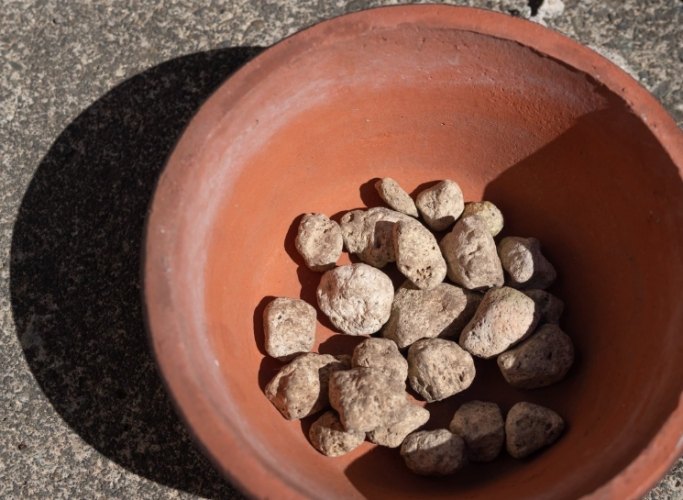 盆底肌肉訓練替代 盆底肌肉訓練替代