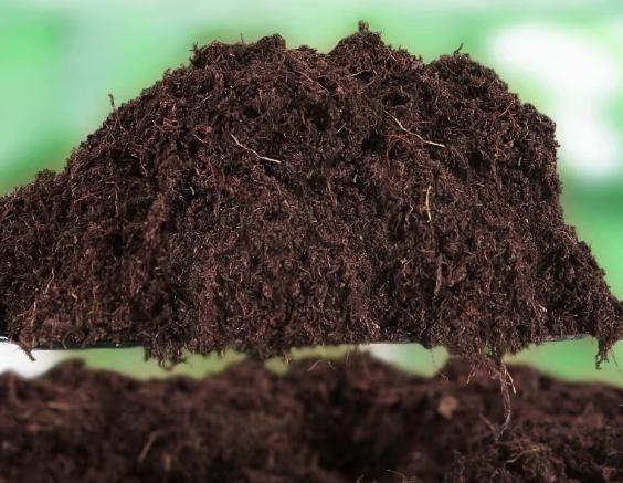 泥炭土混合比例