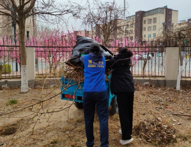 葉子枯黃原因 葉子枯黃原因