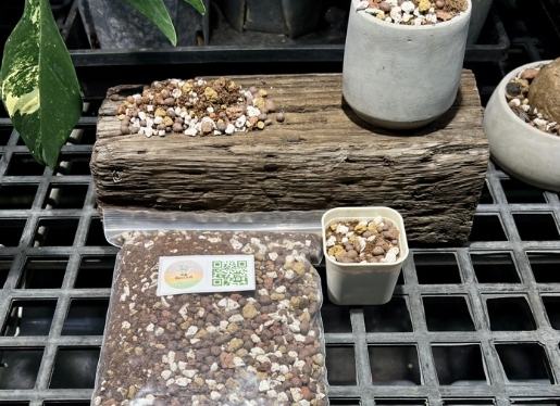 多肉植物土壤配方 多肉植物土壤配方