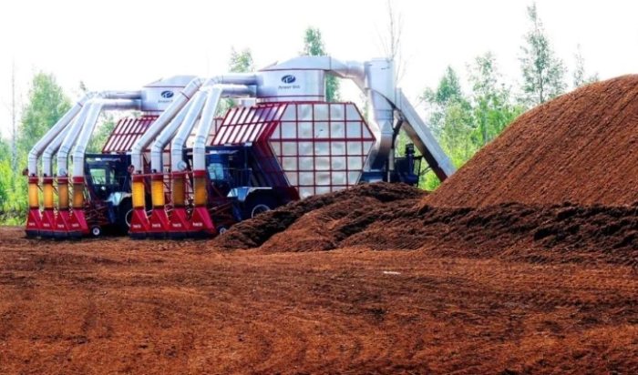 園藝用土選擇指南