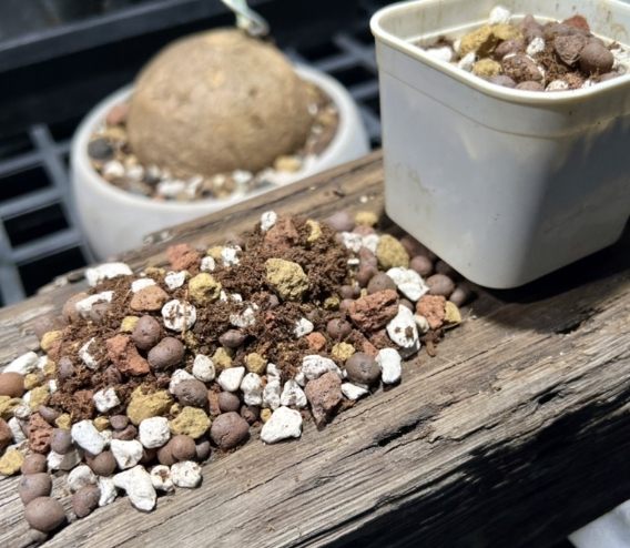 多肉介質調配 多肉介質調配