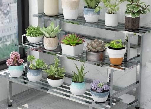 盆栽清潔方法 盆栽清潔方法