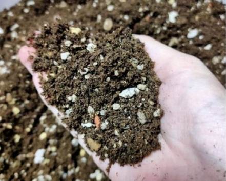 多肉土配方 多肉土配方