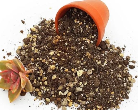 多肉介質調配 多肉介質調配