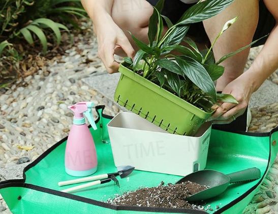 換土時機 換土時機