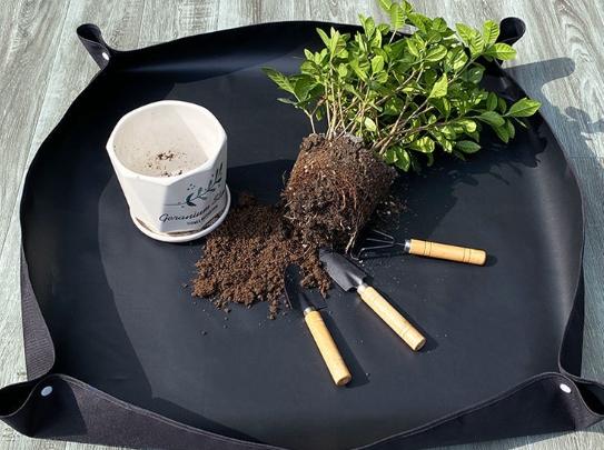 植物換盆技巧 植物換盆技巧