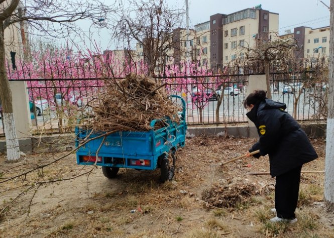 枯枝處理 枯枝處理
