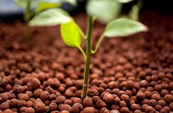 園藝介質 園藝介質