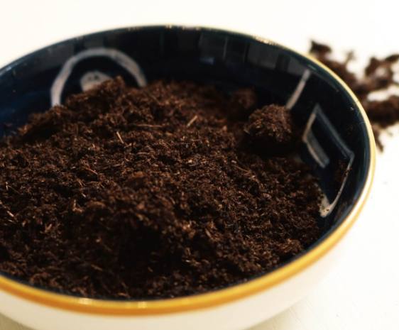 泥炭土種菜優缺點 泥炭土種菜優缺點