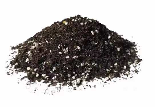 仙人掌土壤配方 仙人掌土壤配方