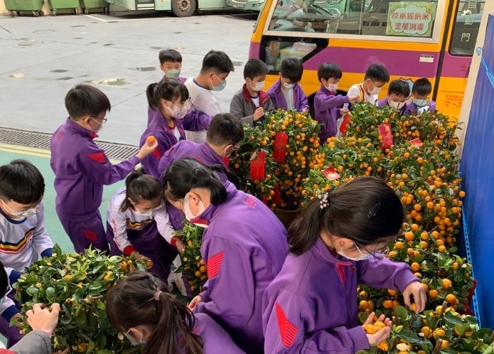 植物養護技巧 植物養護技巧