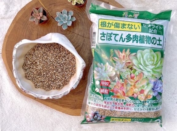 多肉土配方 多肉土配方
