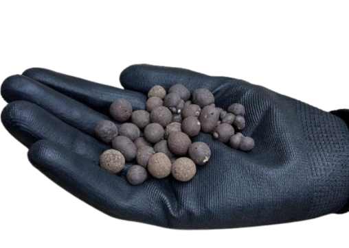 植物栽培 植物栽培