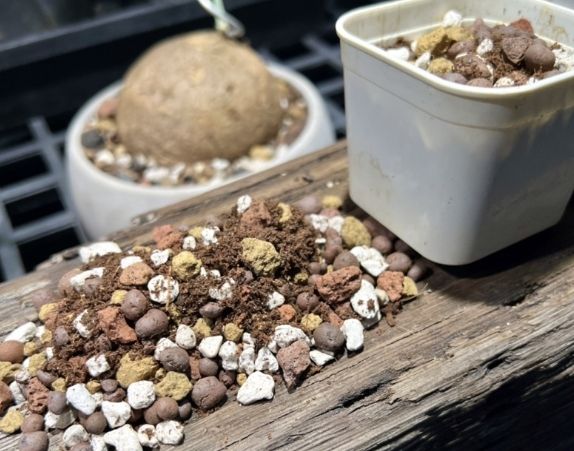 多肉專用土比較 多肉專用土比較